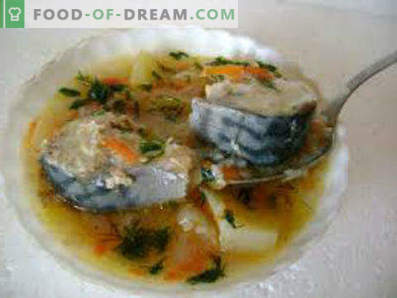 Svaigi saldētas makreles zupa, receptes ar fotogrāfijām. Kā pagatavot makreles zupu