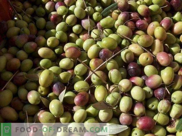 Oliivid või oliivid - milline on erinevus ja kasulikkus?