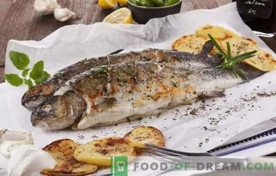 Catch zivis, viss ir garšīgs uz grila! Grilētas jūras un upju zivju receptes: kulinārijas palīdzība zvejniekiem un garšīgu zivju cienītājiem