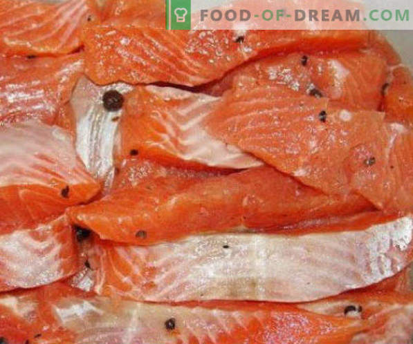 Sarkano zivju sālīšana mājas receptēs un ieteikumi