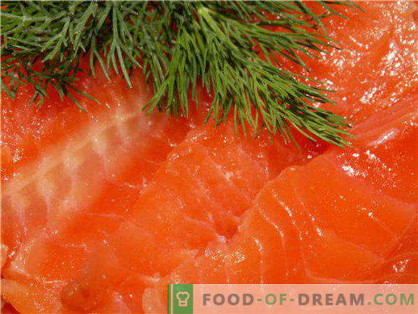 Sarkano zivju sālīšana mājas receptēs un ieteikumi