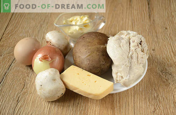 Salāti ar sēnēm un vistas gaļu: uzkodas un pilnais ēdiens. Foto-recepte pakāpeniskai vistas filejas, sēņu un siera salātiem