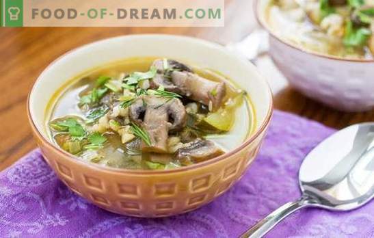Mushroom soup with pearl barley is a hearty and easy-to-cook dish. Original recipes of mushroom soup with pearl barley