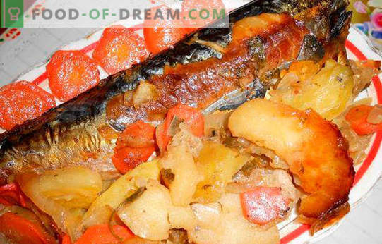 Makrele ar kartupeļiem - labākās receptes. Kā pareizi un garšīgi gatavot makreles ar kartupeļiem.