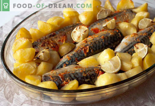 Makrele ar kartupeļiem - labākās receptes. Kā pareizi un garšīgi gatavot makreles ar kartupeļiem.