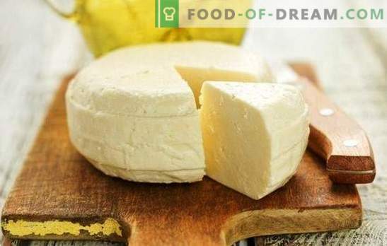 Pašdarināts Suluguni - recepte no sirds no sirds mīļotājiem siera ražošanā. Kā padarīt suluguni sieru mājās?