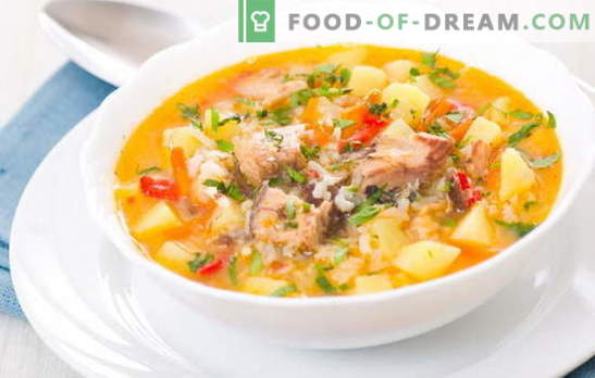 Zivju zupa ar rīsiem ir viegls, garšīgs pirmais ēdiens pusdienām. Labākās receptes zivju zupas gatavošanai ar rīsiem