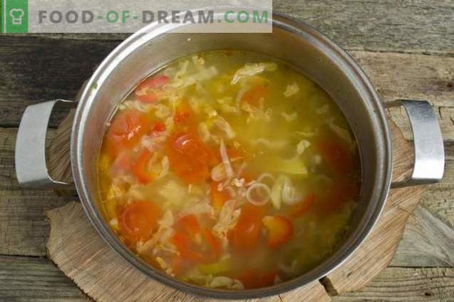 Summer vegetable soup in chicken broth