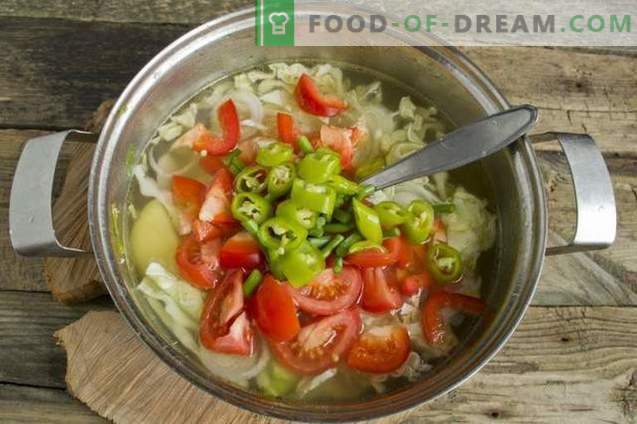 Summer vegetable soup in chicken broth