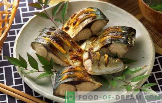 Lenten fiskrätter: festliga och vardagliga. Recept av lenten fiskrätter: soppor, kotletter, sallader, köttbullar, rost
