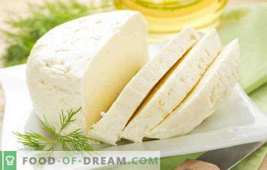 Labākās mājas govs piena siera receptes. Govs piena siers: mājās gatavota siera ražošanas pamatnoteikumi