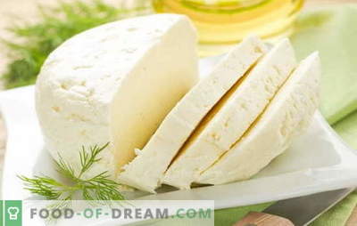 Най-добрите рецепти за домашно приготвено сирене от краве мляко. Сирене от краве мляко: основните правила за правене на домашно сирене