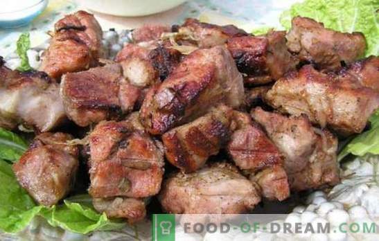 Marinade voor varkenskebab met kefir - mals! Verzameling van marinade recepten voor vlees op het vuur: marinade voor varkensvlees met kefir