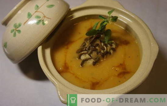 Zuppa di ostriche - le migliori ricette dell'autore. Cucinare zuppe di ostriche: con tagliatelle, formaggio, uova, gnocchi, cuori, cereali, lenticchie
