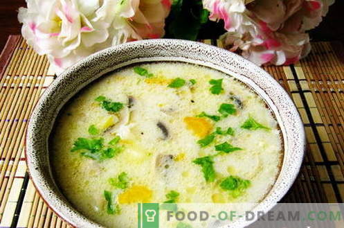 Sriubos su ryžiais - geriausi receptai. Kaip tinkamai ir skaniai virti sriuba su ryžiais.