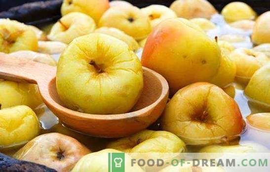 Mizoti āboli mājās - stiprināšana ir sākusies! Labākās receptes grauzdētiem āboliem mājās mucās un kārbās