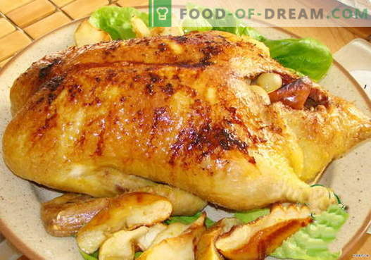 Pato recheado - as melhores receitas. Como cozinhar corretamente e saboroso pato recheado.
