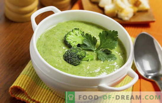 Brokoļu krējuma zupa: receptes diētai un pamata uzturam. Dažādu krējumu - zupu receptes no vienkāršas līdz brokoļu kompleksam