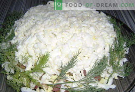 Baltās salāti - labākās receptes. Kā pareizi un garšīgi pagatavot baltos salātus.