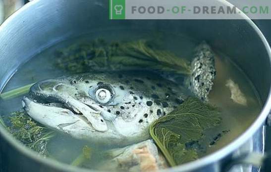 Zivju galvas zupa - receptes un ēdiena gatavošanas sīkumi. Zivju zupas ar rīsiem, prosu, dārzeņiem