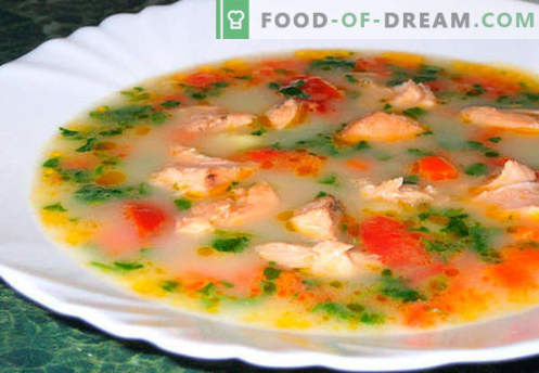 Супа от сьомга - най-добрите рецепти. Как правилно и вкусно да се готви супа от сьомга.