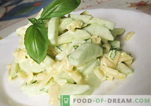 Salada de pepino com queijo - as melhores receitas. Como propriamente e saboroso preparar uma salada de pepinos com queijo
