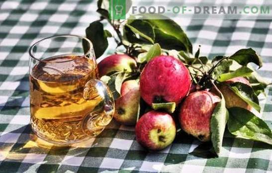 Mājas ābolu sidra izgatavošana - dabīgs produkts! Kā sagatavot ābolu sidra izejvielas mājās