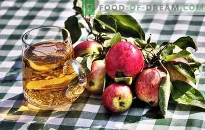 Осъществяване на домашен ябълков сайдер - натурален продукт! Как да приготвим суровини за ябълков сайдер у дома