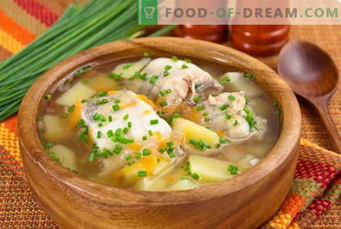 Zivju zupa - labākās receptes. Kā pareizi un garšīgi pagatavot zivju zupu.