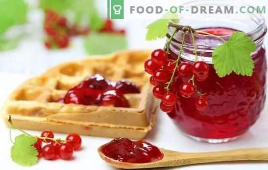 Red currant jelly is a bright and healthy dessert. The best recipes of red currant jelly with cottage cheese, cream, milk, wine