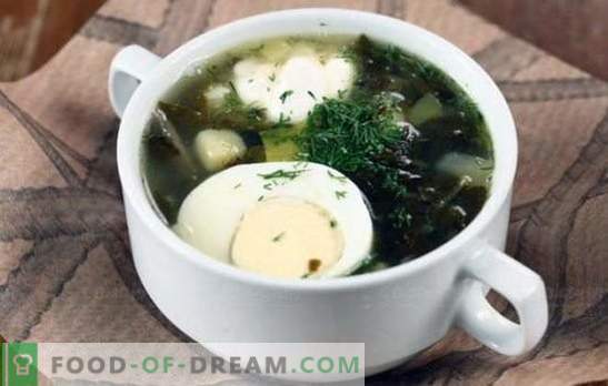 Zuppa verde - carica di vitamine e gusto brillante! Ricette di varie zuppe verdi con acetosella e con cavolo, funghi, pesce, ortiche, fagioli