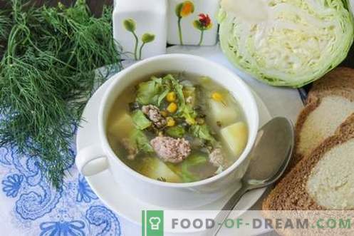 Sopa verde hecha de vegetales jóvenes - plato de verano para todos los días