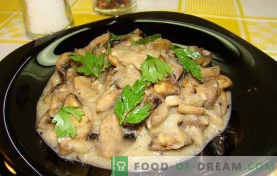 Champignons in panna acida non è solo una julienne! Ricette per champignon deliziosi in panna acida: fritti, in umido, al forno