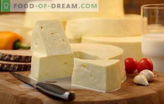 Kā ātri gatavot suluguni mājās: jaunā baltā siera recepte. Maigs suluguni siera gatavošana mājās