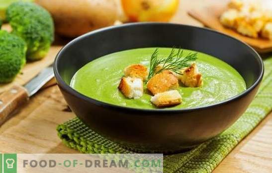 Sopa de puré de brócoli: para la salud, la mente y la bella figura. Recetas para las sopas de crema de brócoli con crema, queso, pollo, champiñones