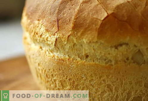 Maize krāsnī - labākās receptes. Kā pareizi un garšīgi pagatavot maizi cepeškrāsnī.