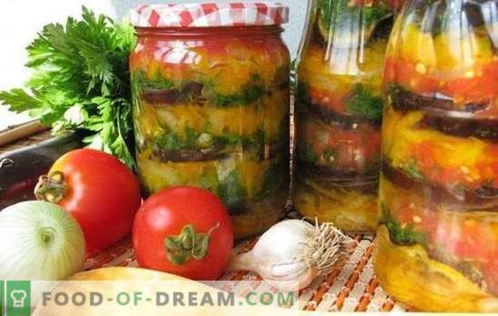 Armēnijas uzkodas ziemai: garšīgi, viegli, ātri. Labākās armēņu uzkodu receptes ziemai ar tomātiem, baklažāniem, cukini, pipariem