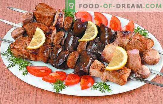 Turcija Barbecue: Receptes Tender Meat. Marinādes noslēpumi tītara kebabiem: pikants, ātrs, kefīrs, vīns