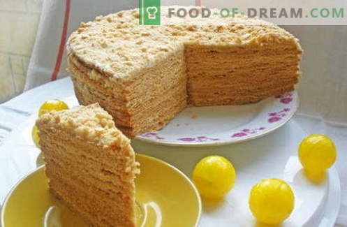Medus kūka - labākās receptes. Kā pareizi un garšīgi pagatavot medus kūku.