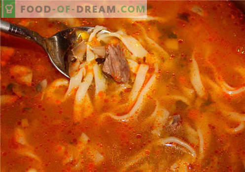Liellopu gaļas zupa - labākās receptes. Kā pareizi un garšīgi pagatavot zupu uz liellopu gaļas buljona.