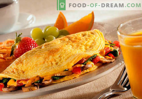 Omlete lēnās plīts virsmas pārbaudītajās receptēs. Kā pareizi un garšīgi pagatavot omletu lēnā plītī.