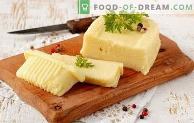 Kā padarīt sieru no piena ar savām rokām: mīkstu un cietu. Receptes sieram no piena mājās un tehnoloģijā