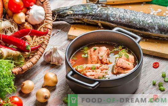 Virtuves zivju zupa ir delikāts jautājums! Kā pagatavot zivju zupu no upes vai sarkanām zivīm, ar miežiem, prosu, konserviem, garnelēm, tomātiem