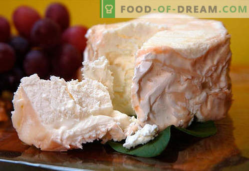 Pašdarināts siers - labākās receptes. Kā pareizi un garšīgi pagatavot sieru no biezpiena vai piena mājās.