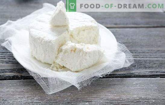 Kļūdas, kas gatavotas mājās gatavota siera un siera ražošanā
