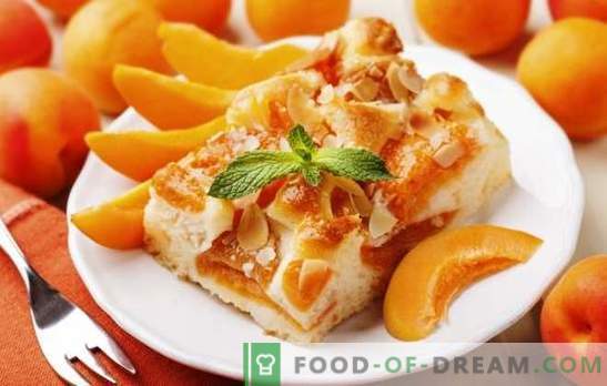 Asiņu pīrāgs no Julia Vysotskaya ir šedevrs! Receptes slavenā aprikožu kūka no Vysotsky un tās modifikācijām