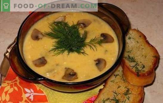 Siera zupa ar sēnēm - maigi, garšīga, apmierinoša. Labāko siera zupu receptes ar sēnēm, vistas, dārzeņiem un kūpinātu gaļu