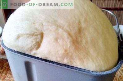 Mīkla baltumiem maizes ražotājam